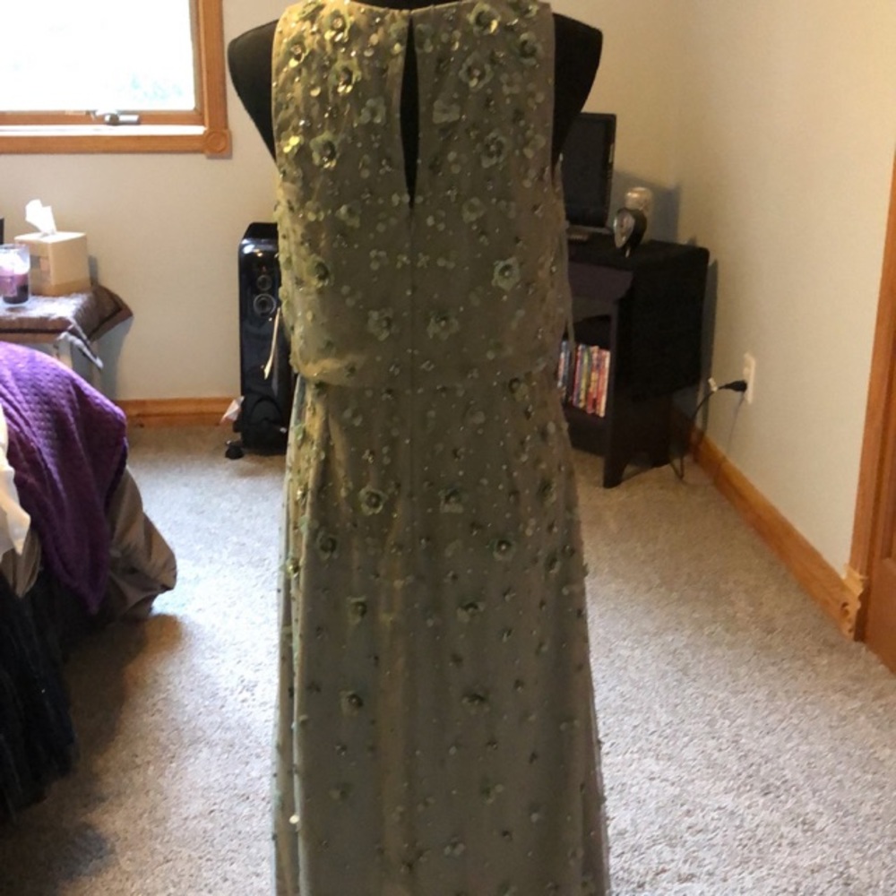Adrianna Papell Frosted Sage Beaded Evening Gown - Picture 4 of 6